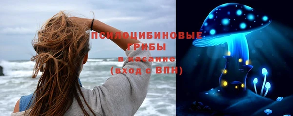 шишки Краснотурьинск