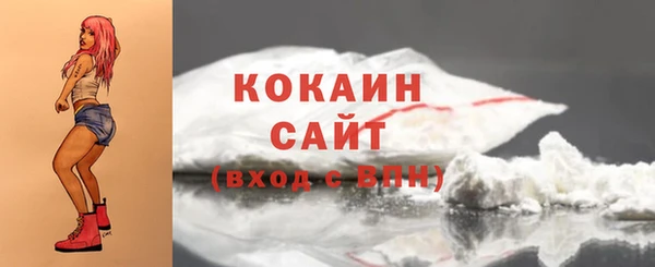 шишки Краснотурьинск