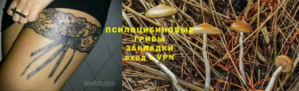 шишки Краснотурьинск