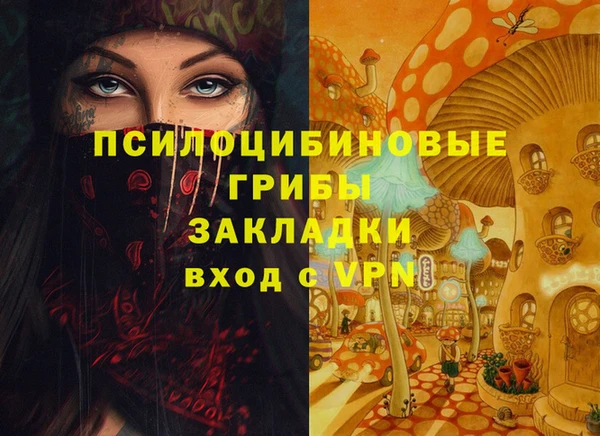 молекула духа Краснослободск