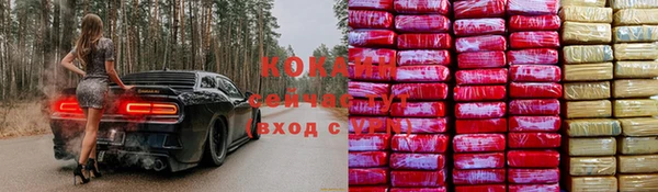 молекула духа Краснослободск