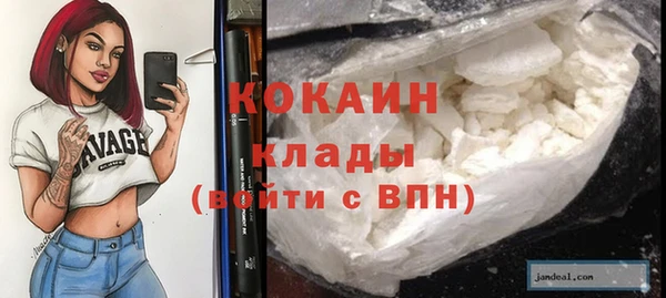 молекула духа Краснослободск