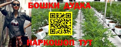 каннабис Аргун