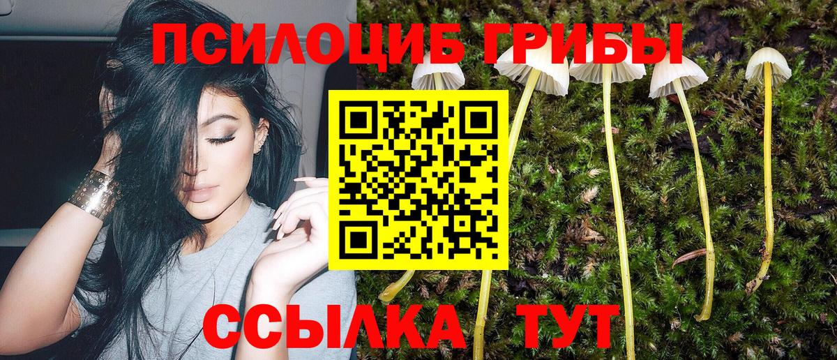 Галлюциногенные грибы GOLDEN TEACHER  Вход с VPN  магазин продажи наркотиков  Чапаевск 